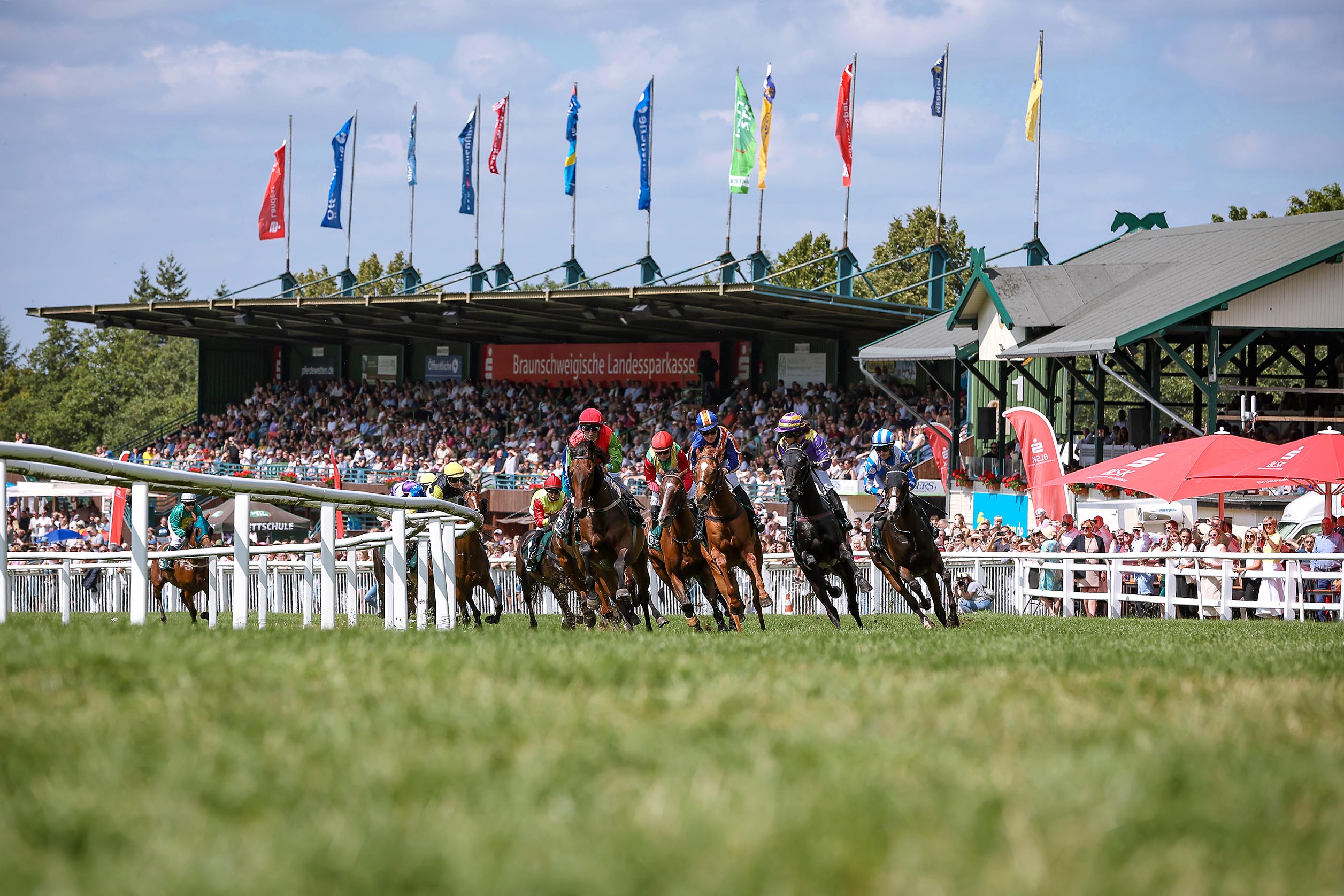 Galopp in Bad Harzburg