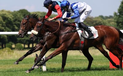 MIT CHANCEN IN CHANTILLY