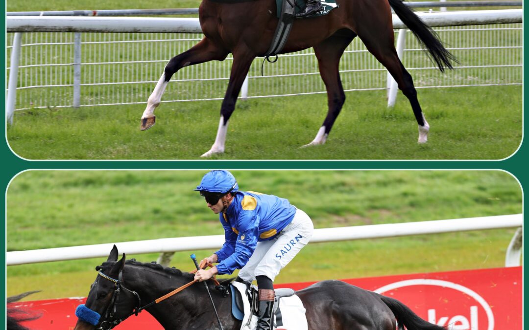 BLAU – GELBES DERBY DUO