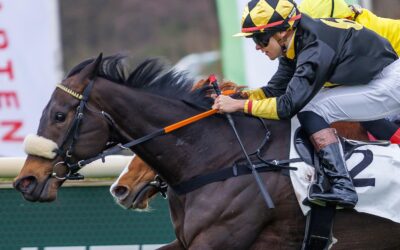 “GRUPPE BLACKTYPE” IM BLICK