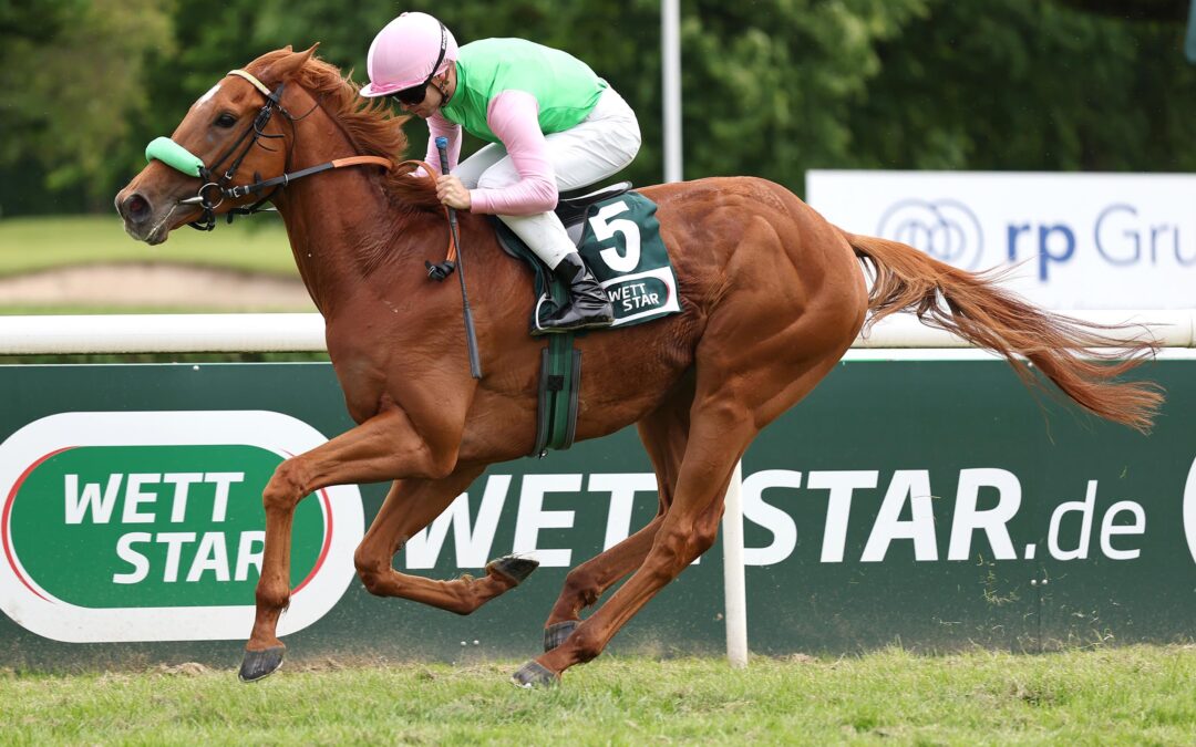 DERBY OHNE PASHANG