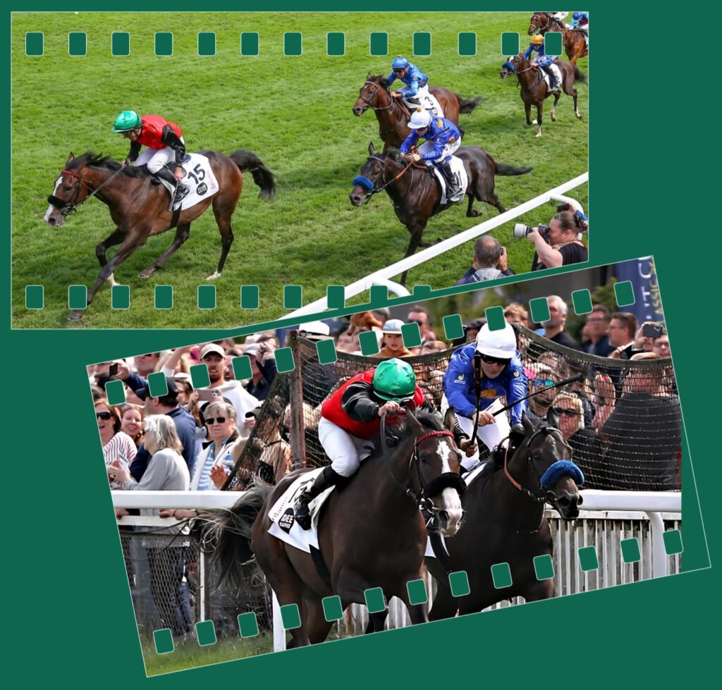 CHIEFLAND’S DERBYRITT