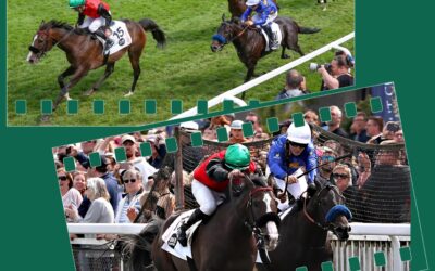CHIEFLAND’S DERBYRITT