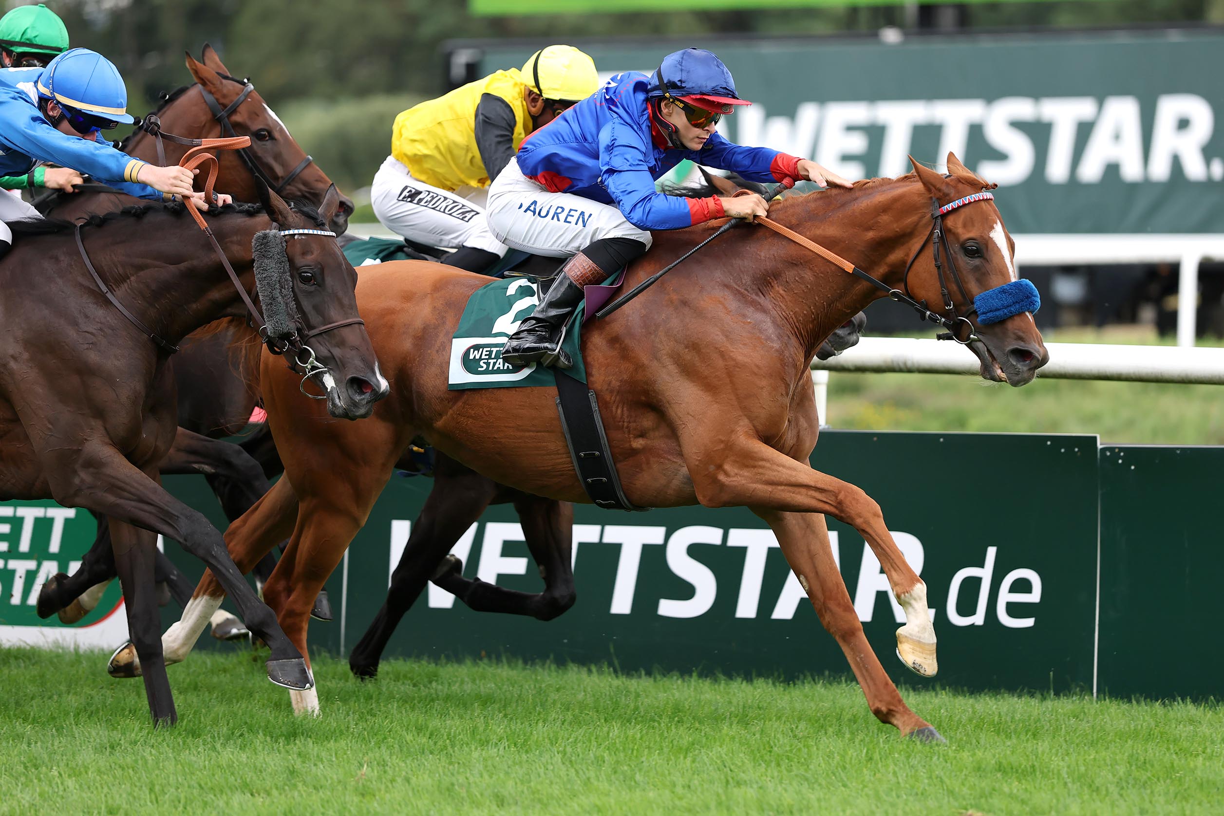 Flatten The Curve siegt unter Thore Hammer-Hansen im Stall Siepenblick 2.8 – Steher Cup, L.