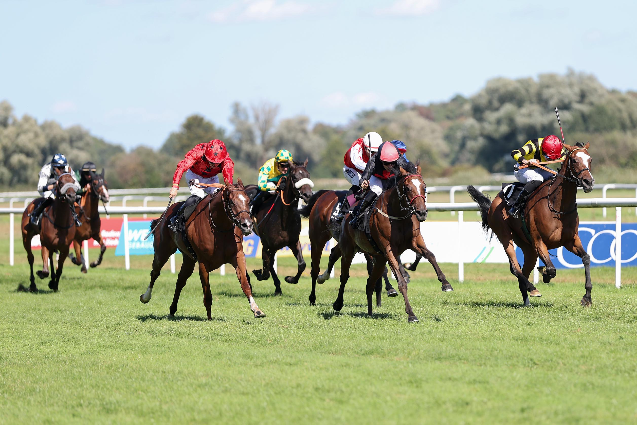 Anatara siegt unter Rene Piechulek im WACKENHUT Fillies Cup, L.