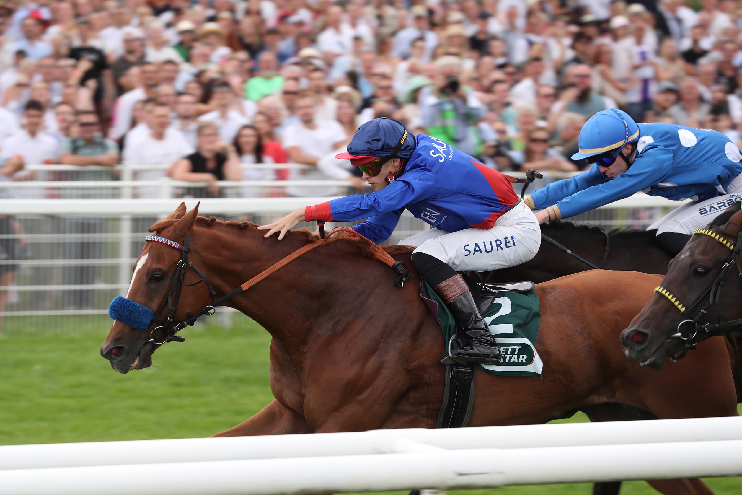 Flatten the Curve siegt unter Thore Hammer-Hansen im Stall Siepenblick 2.8 – Steher Cup L.