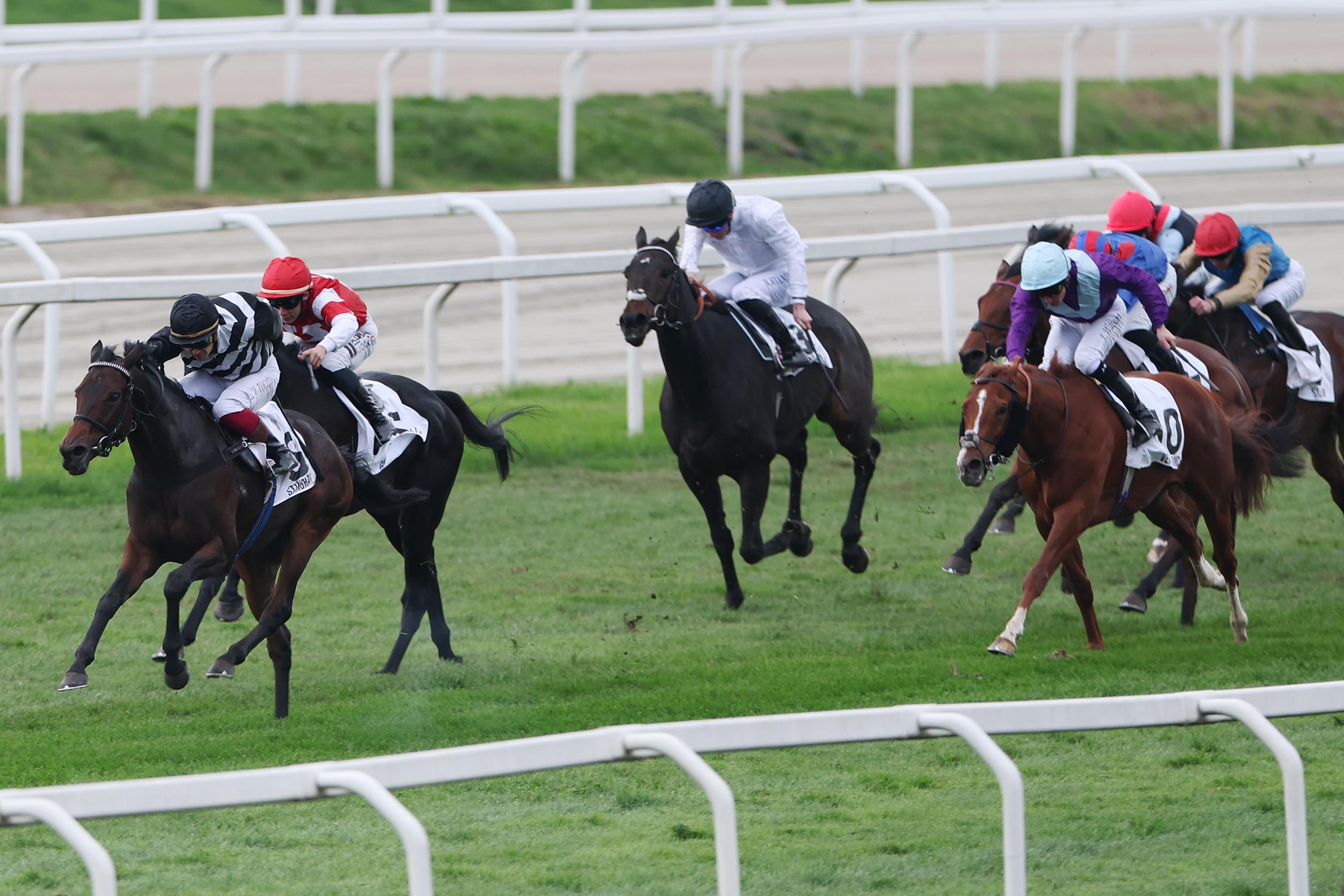 Stinray siegt unter D. Di Tosco im Premio Del Jockey Club S.I.R.E.-Trofeo Pio Bruni Gr. 2